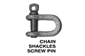 Chain Shackles Screw Pin
