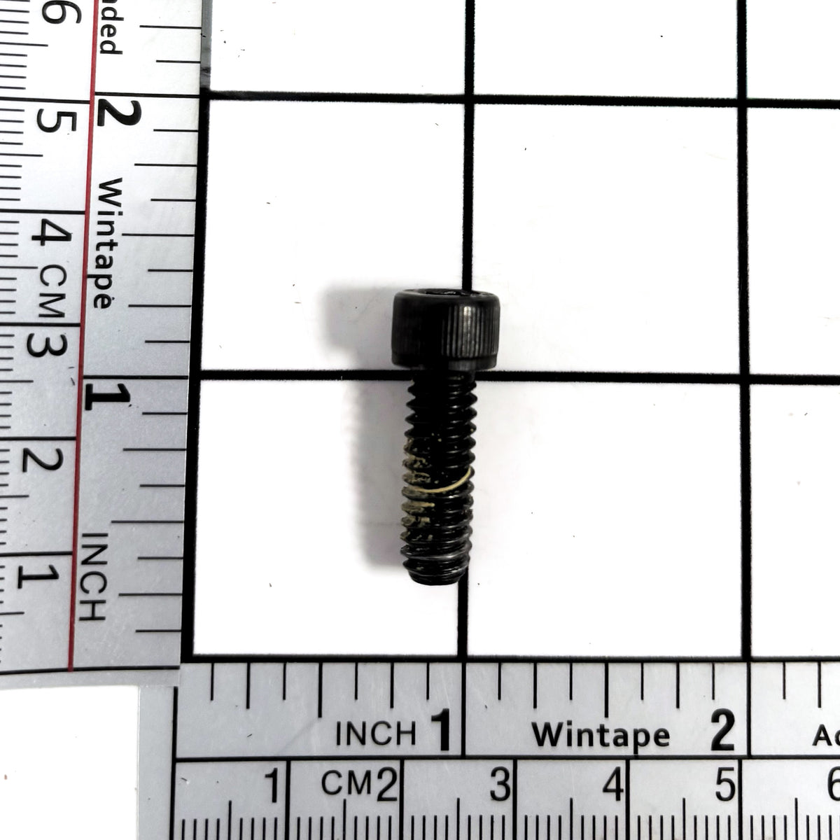 Screw Cap Hex Socket Head