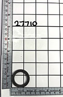 27710.jpg
