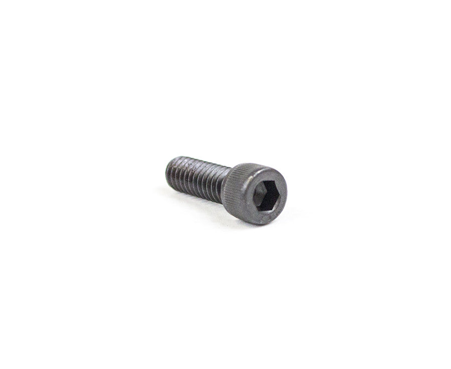 1/4-20 x 3/4" skt HD cap screw - 10001265