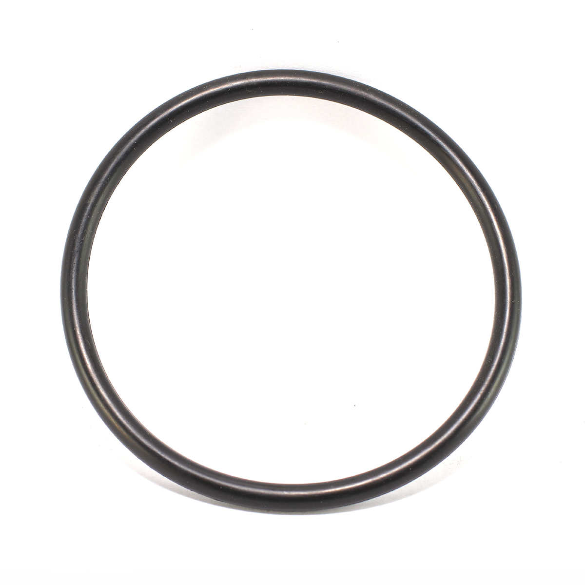 O ring - 10025051