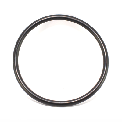 O ring - 10025051