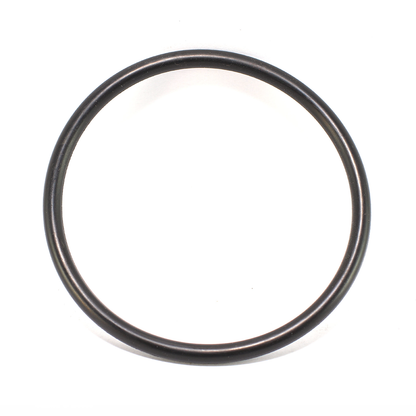 O ring - 10025051