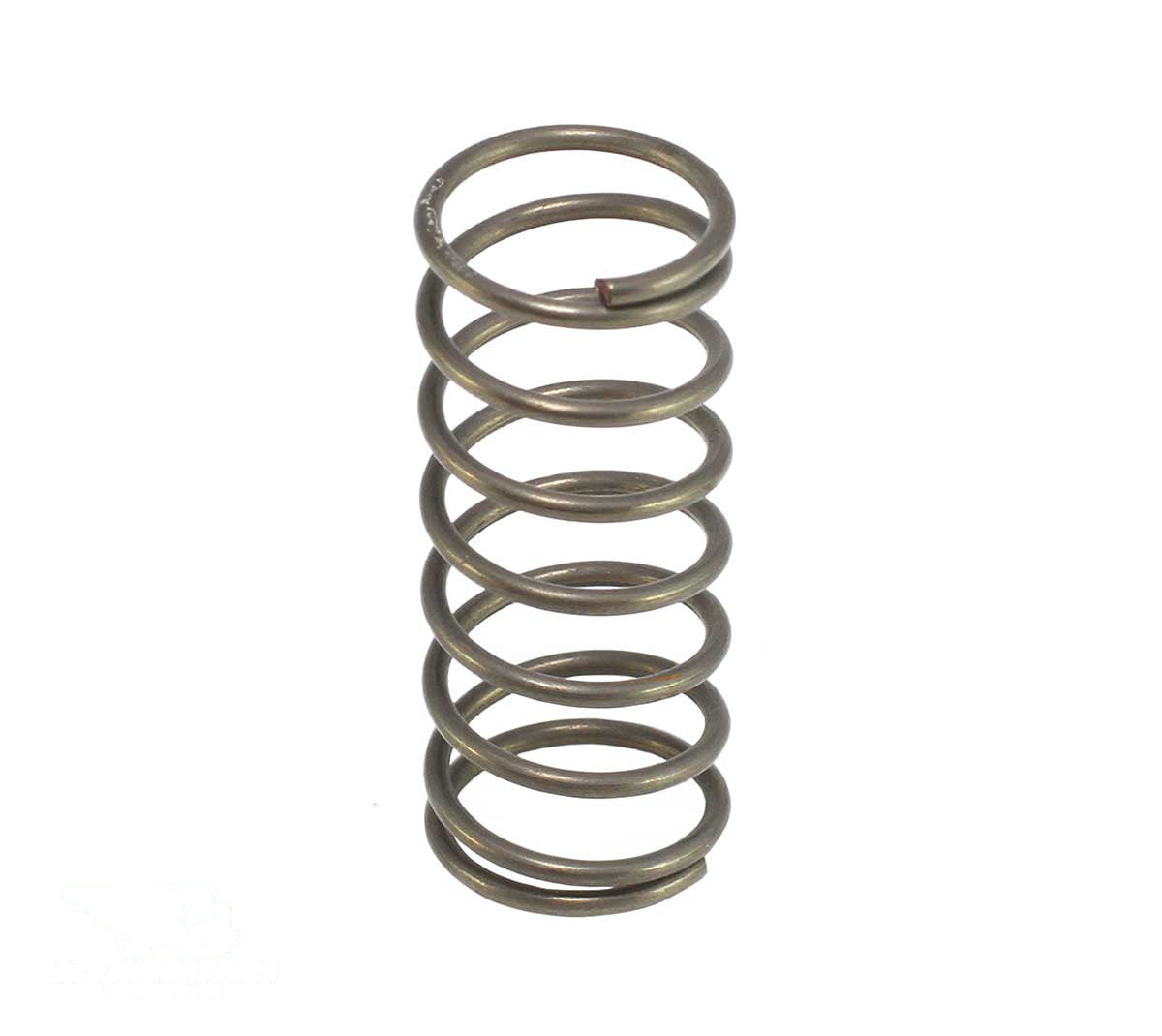 Spring - Valve - 11523901