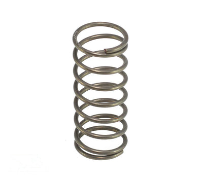 Spring - Valve - 11523901