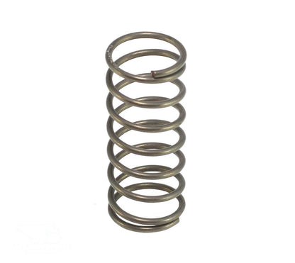 Spring - Valve - 11523901
