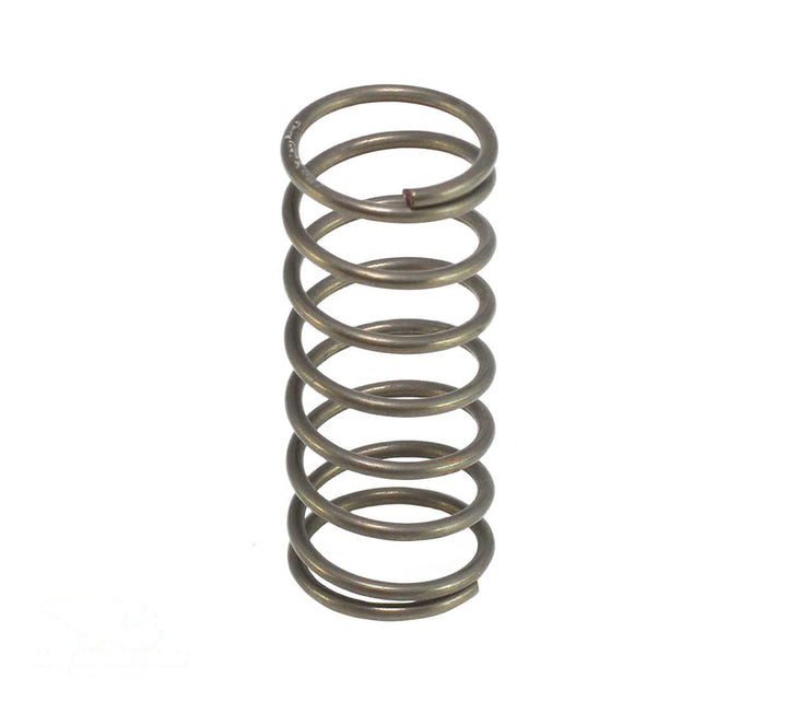 Spring - Valve - 11523901