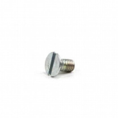 Screw