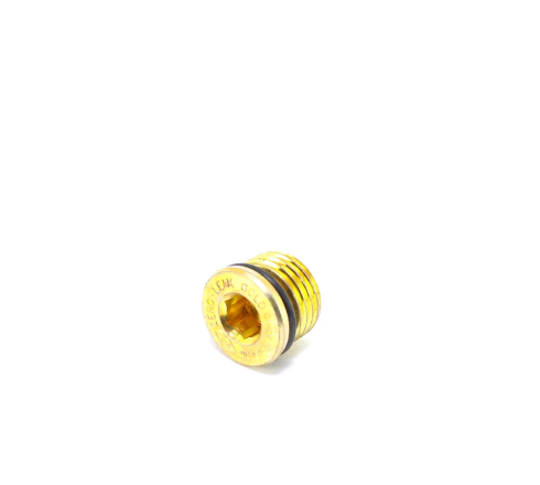 Plug, Magnetic, Hex Socket head-H6297