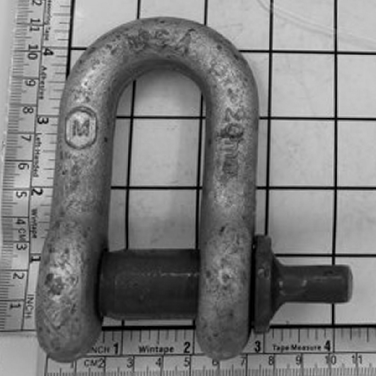 3/4" Carbon Chain Shackle - Screw Pin, Galvanized