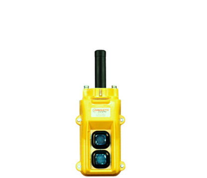 80 Series 2-button Pendant with two single-speed switches